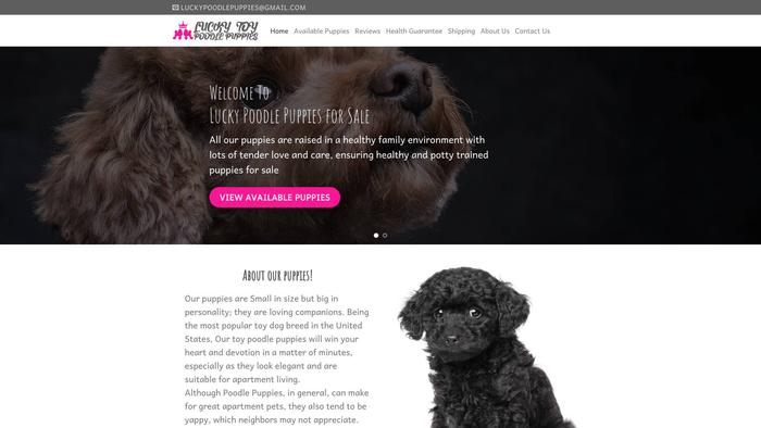 Luckypoodlepuppies.com - Poodle Puppy Scam Review