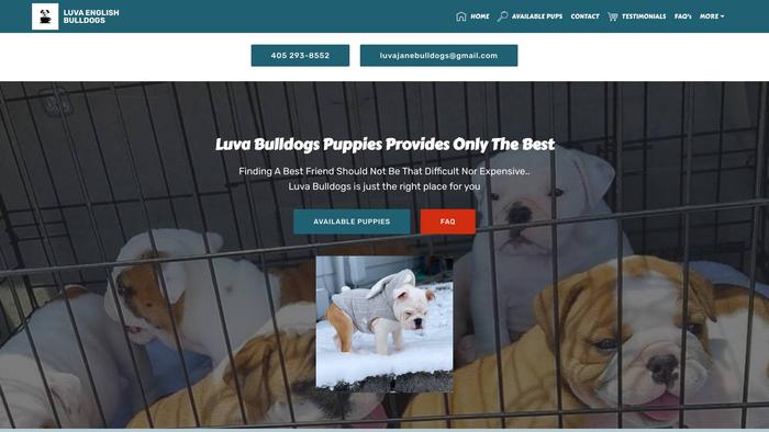 Luvaenglishbulldogs.com - English Bulldog Puppy Scam Review