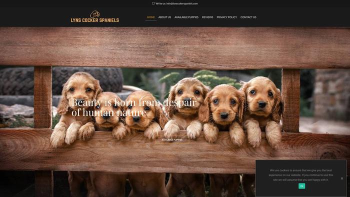 Lynscokerspaniels.com - Spaniel Puppy Scam Review