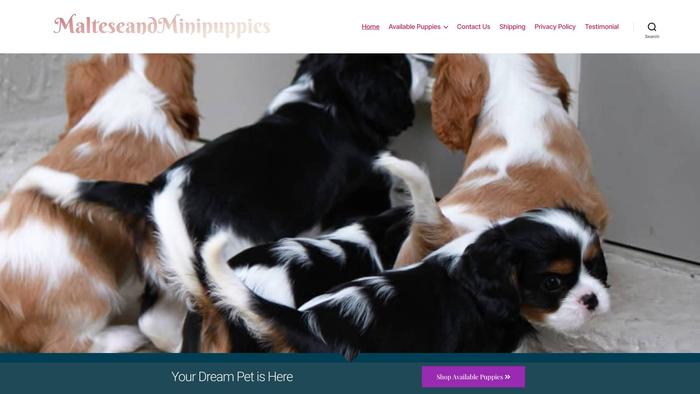 Malteseandminipuppies.com - Maltese Puppy Scam Review