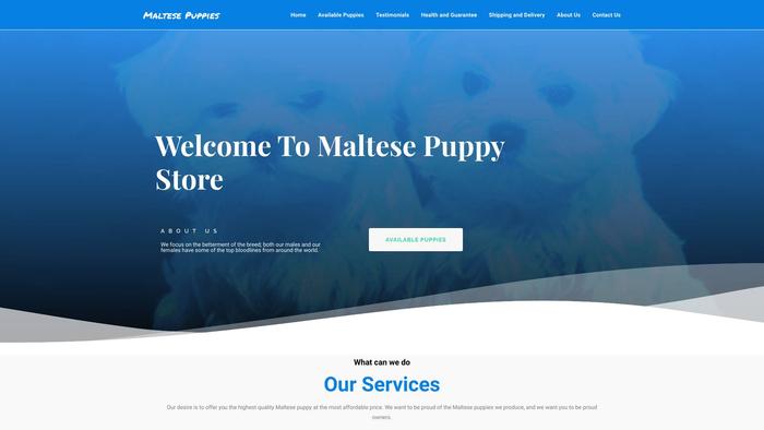 Maltesepuppies.store - Maltese Puppy Scam Review