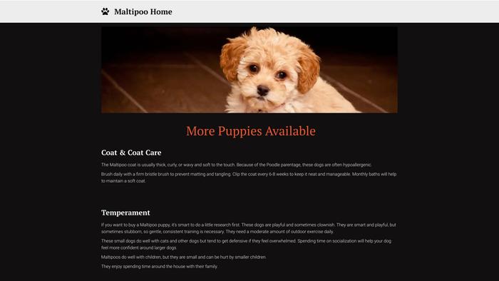 Maltipoohomespuppiesau.ukit.me - Maltipoo Puppy Scam Review