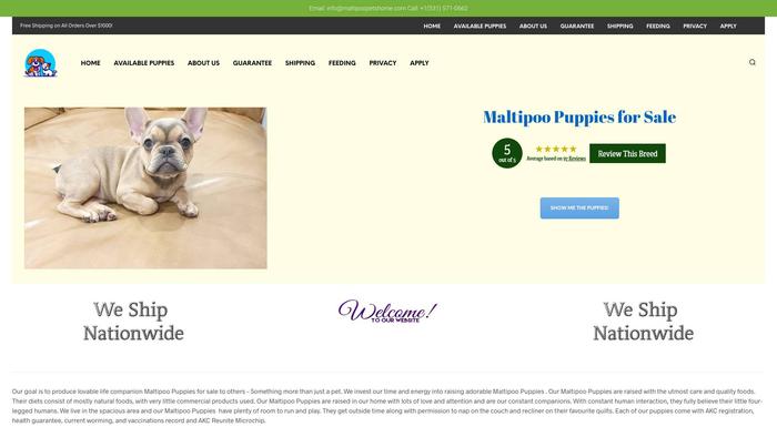 Maltipoopetshome.com - Maltipoo Puppy Scam Review