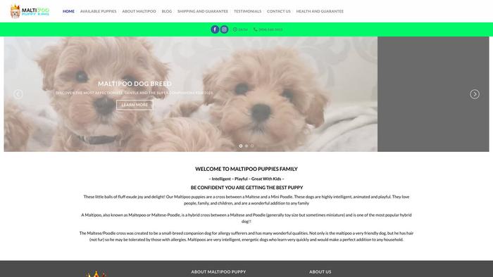 Maltipoopuppyking.com - Maltipoo Puppy Scam Review