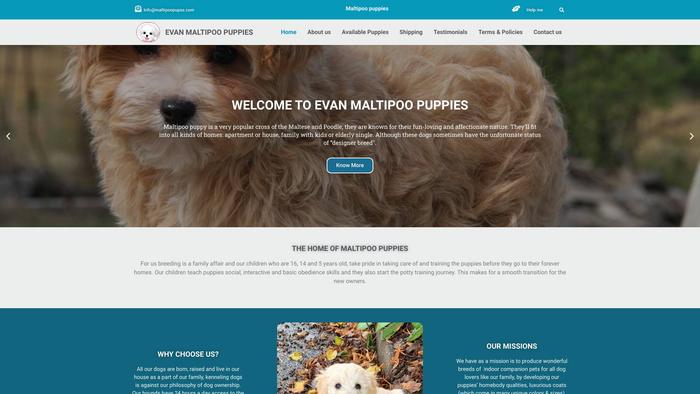 Maltipoopupss.com - Maltipoo Puppy Scam Review