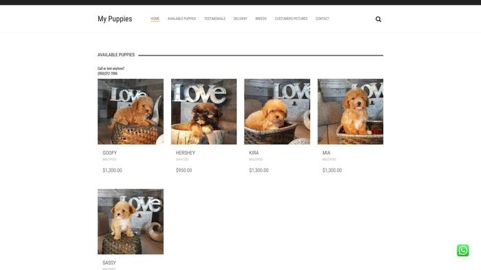 Maltipoousa.com - Maltipoo Puppy Scam Review