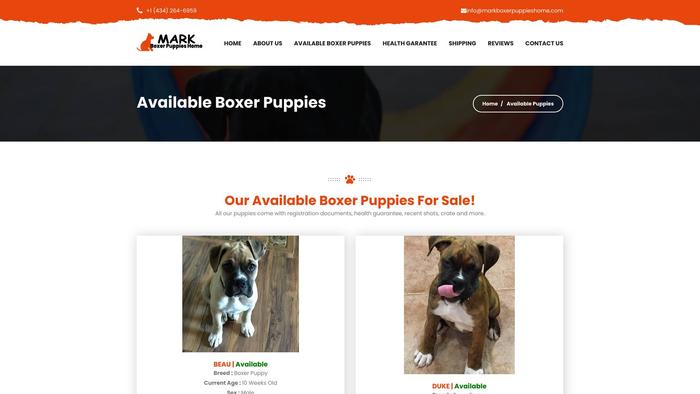 Markboxerpuppieshome.com - Boxer Puppy Scam Review