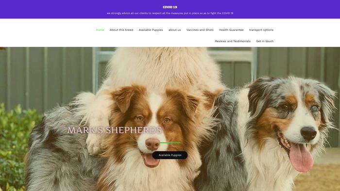 Marksaustralianshepard-au.com - Australian Shepherd Puppy Scam Review