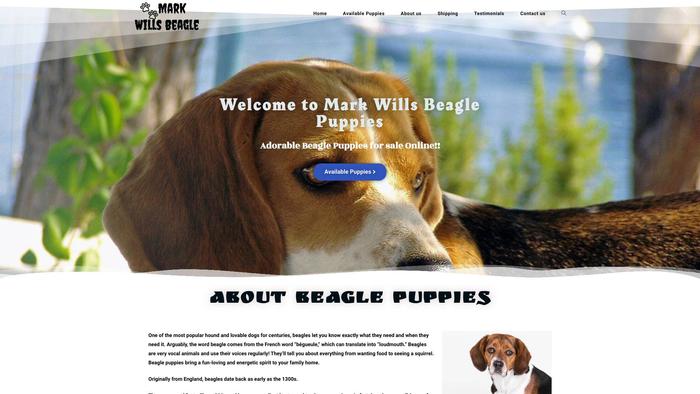 Markwillsbeaglepuppies.com - Beagle Puppy Scam Review