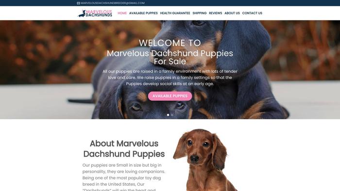 Marvelousdachshundpuppies.com - Dachshund Puppy Scam Review