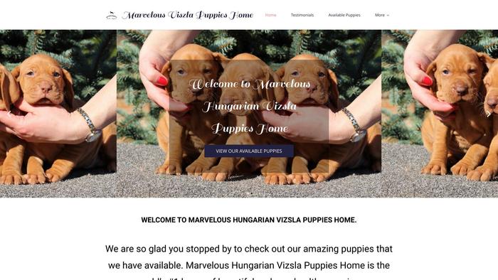 Marveloushungarianvizslapuppies.com - Labrador Puppy Scam Review