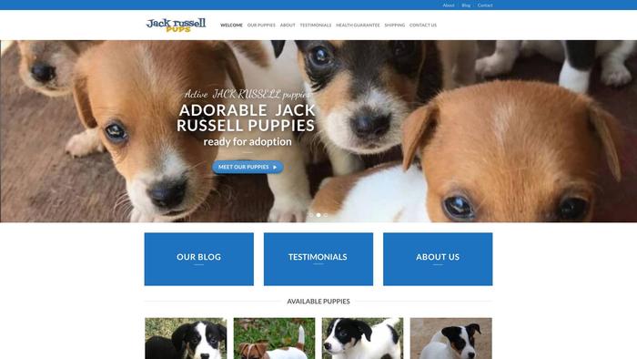 Marvelousjackrussellpups.com - Jack Russell Terrier Puppy Scam Review