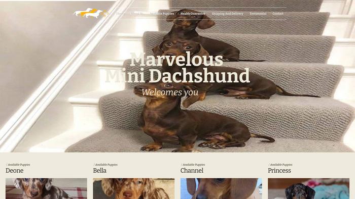 Marvelousminidachshund.com - Dachshund Puppy Scam Review