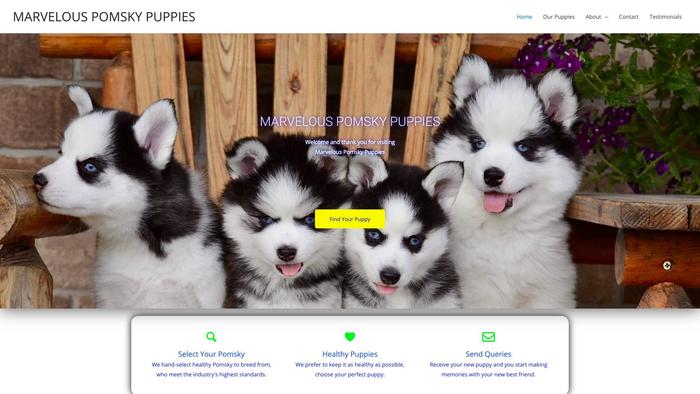 Marvelouspomskypuppies.com - Pomeranian Puppy Scam Review