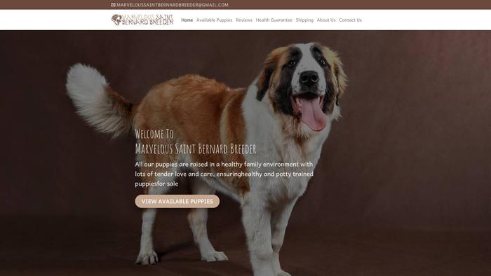 Marveloussaintbernardbreeder.com - Saint Bernard Puppy Scam Review