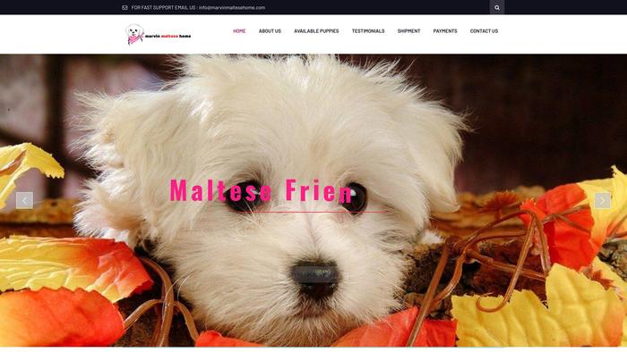 Marvinmaltesehome.com - Maltese Puppy Scam Review