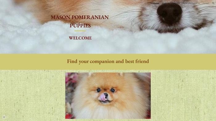 Masonpomeranianpuppies.net - Pomeranian Puppy Scam Review