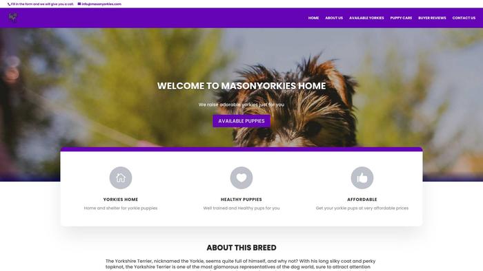 Masonyorkies.com - Yorkshire Terrier Puppy Scam Review