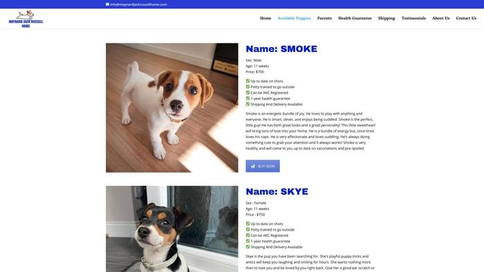 Maynardjackrussellhome.com - Jack Russell Terrier Puppy Scam Review