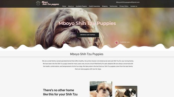 Mboyoshihtzupuppies.com - Golden Retriever Puppy Scam Review