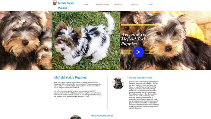 Mcfieldyorkiepuppies.com - Yorkshire Terrier Puppy Scam Review