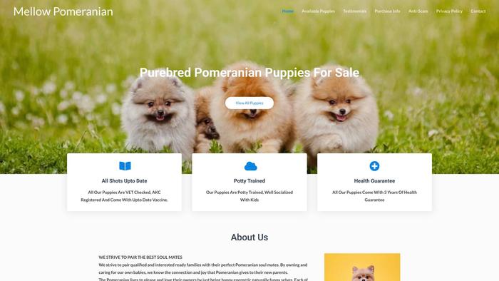 Mellowpomeranian.com - Pomeranian Puppy Scam Review