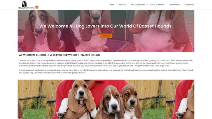 Michaelbassethoundhome.com - Bassethound Puppy Scam Review