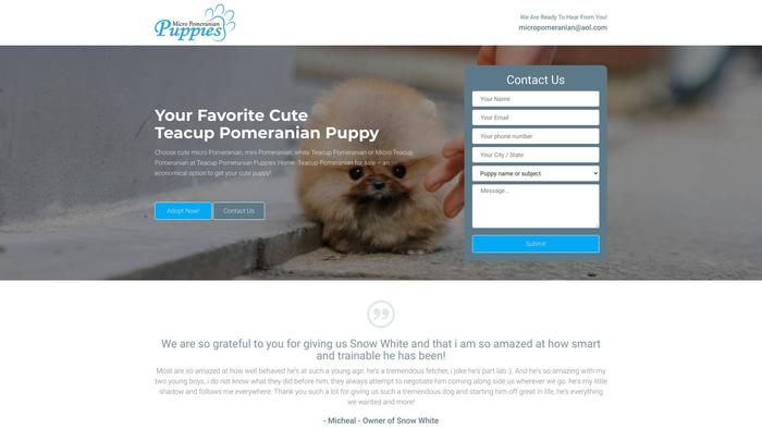 Micropomeranianpuppies.com - Pomeranian Puppy Scam Review