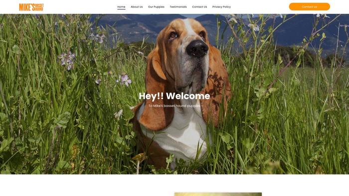 Mikesbassethound.com - Bassethound Puppy Scam Review