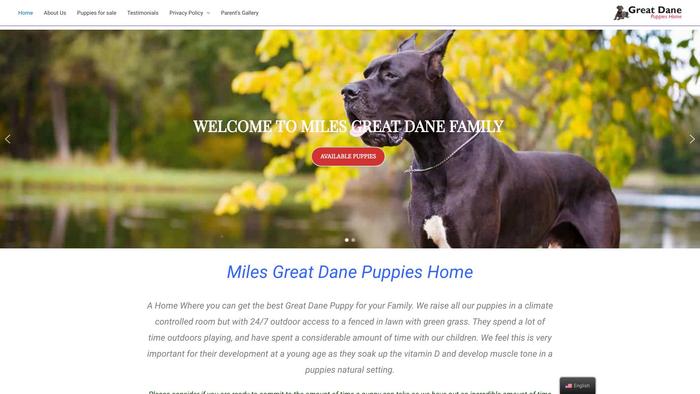 Milesgreatdanepuppies.com - Great Dane Puppy Scam Review