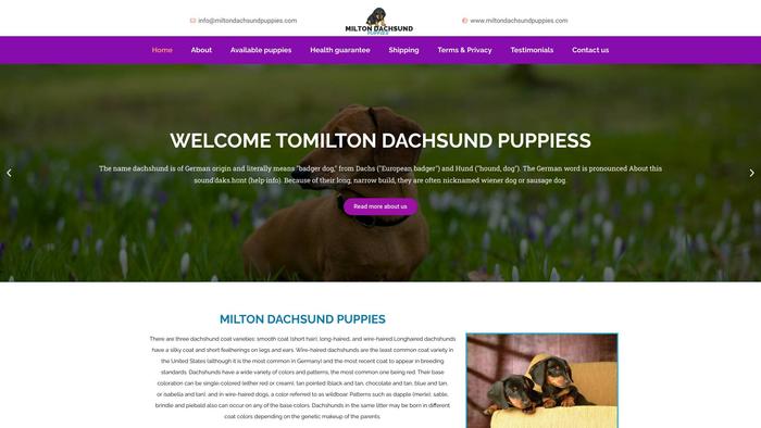 Miltondachsundpuppies.com - Dachshund Puppy Scam Review