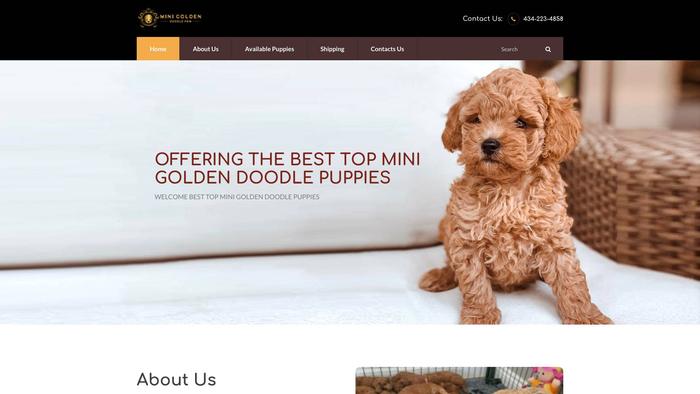 Minigoldendoodlepaw.com - Golden Doodle Puppy Scam Review