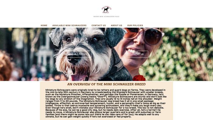 Minischnauzerpalace.com - Schnauzer Puppy Scam Review