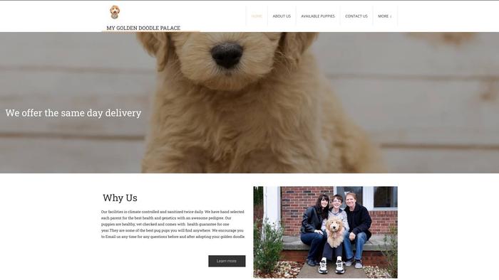 Mygoldendoodlepalace.com - Golden Doodle Puppy Scam Review