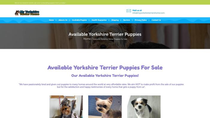 Myyorkshireterriershome.com - Terrier Puppy Scam Review