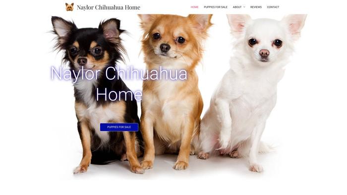 Naylorchihuahuahome.xyz - Chihuahua Puppy Scam Review