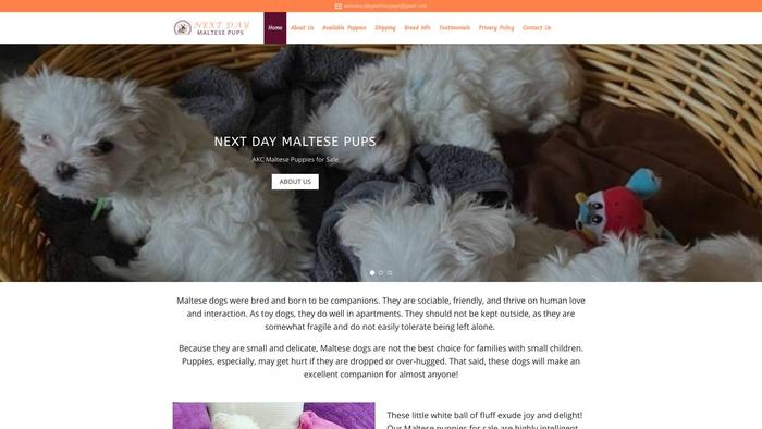 Nextdaymaltesepups.com - Maltese Puppy Scam Review