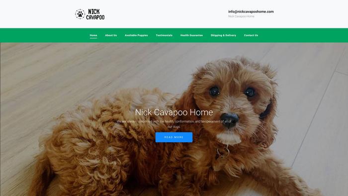 Nickcavapoohome.com - Cavapoo Puppy Scam Review