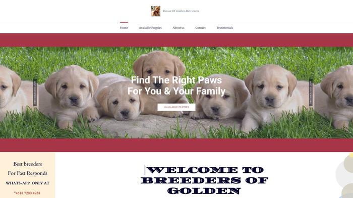 Oceansbluegoldenretrievers.com - Golden Retriever Puppy Scam Review