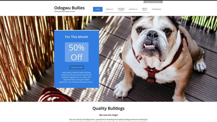 Odogwubullies.com - English Bulldog Puppy Scam Review