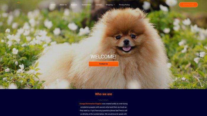 Orangepomeranianpuppies.com - Pomeranian Puppy Scam Review