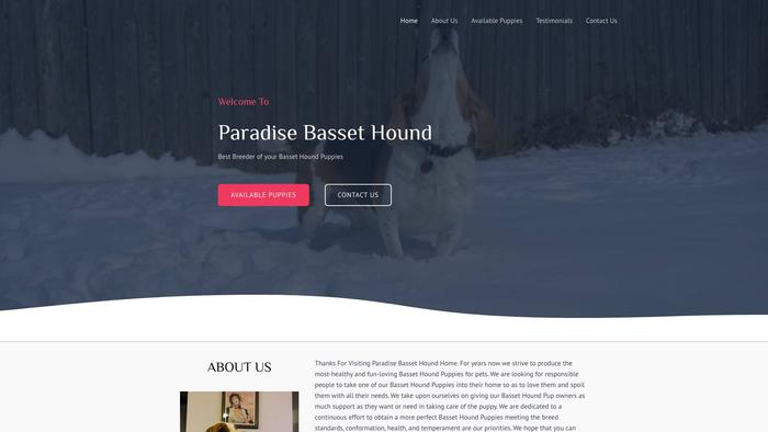 Paradisebassethound.com - Bassethound Puppy Scam Review