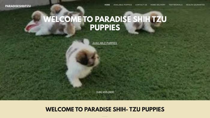 Paradiseshihtzupuppieshomes.com - Shihtzu Puppy Scam Review