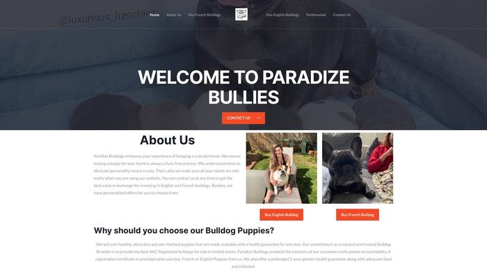 Paradizebullies.com - English Bulldog Puppy Scam Review