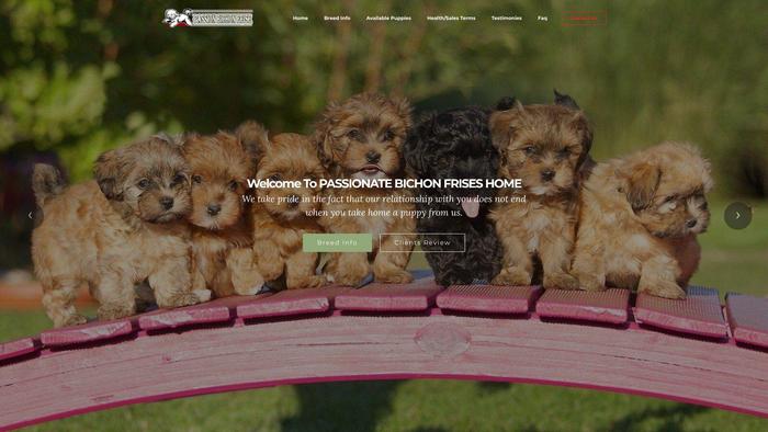 Passionbichonfrise.com - Bichon Frise Puppy Scam Review