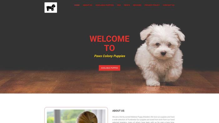 Pawscolony.com - Maltese Puppy Scam Review