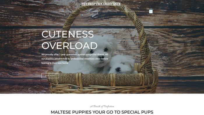 Petadoptionassistance.com - Maltese Puppy Scam Review