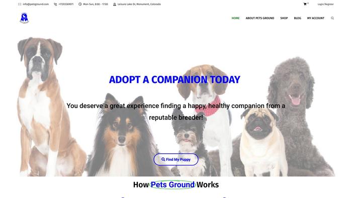 Petzground.com - Cavalier King Charles Spaniel Puppy Scam Review