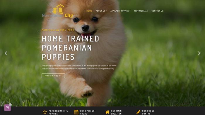 Pomeraniancity.com - Pomeranian Puppy Scam Review