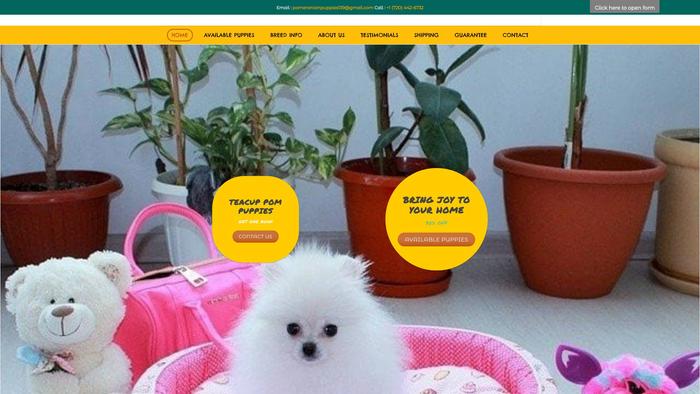 Pomeranianpuppiesforsales.com - Pomeranian Puppy Scam Review